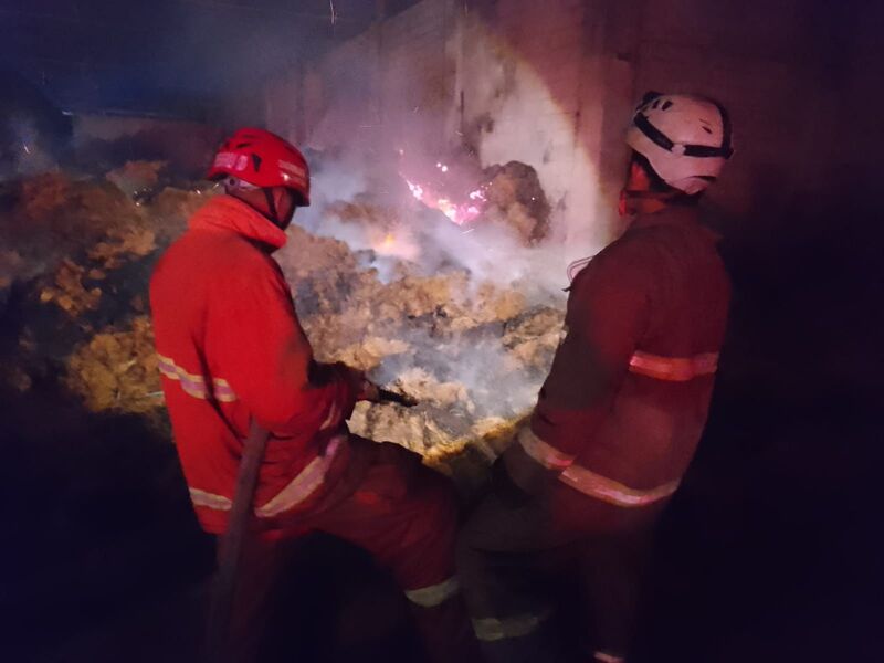 6 Jam Pemadaman, Gudang Sabut Kelapa di Blitar Ludes Terbakar hingga Rugi Ratusan Juta Rupiah 3 Kebakaran gudang sabut kelapa di Blitar.