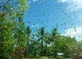 Cuaca di Jatim.