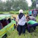 Rombongan Takziah Kecelakaan di Kenduruan Tuban, 1 Korban Tewas 8 Rombongan takziah.