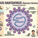 Hantavirus.