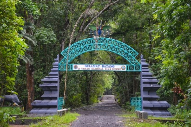 Jelajahi Ujung Timur Jawa: 5 Destinasi Ikonik di Banyuwangi Ini Tak Pernah Luntur Pesonanya 3 Destinasi ikonik Banyuwangi.