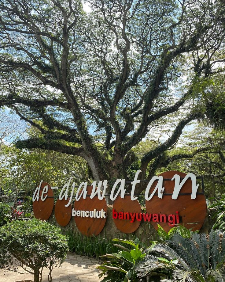 Jelajahi Ujung Timur Jawa: 5 Destinasi Ikonik di Banyuwangi Ini Tak Pernah Luntur Pesonanya 4 Destinasi Banyuwangi ikonik.