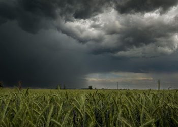 Cuaca Jatim Hari Ini Berawan Tebal, Hujan Ringan Siap Guyur 10 Daerah 8 Cuaca Jatim hari ini
