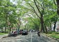 Cuaca di Jatim.