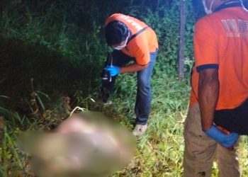 Mayat tinggal tulang belulang