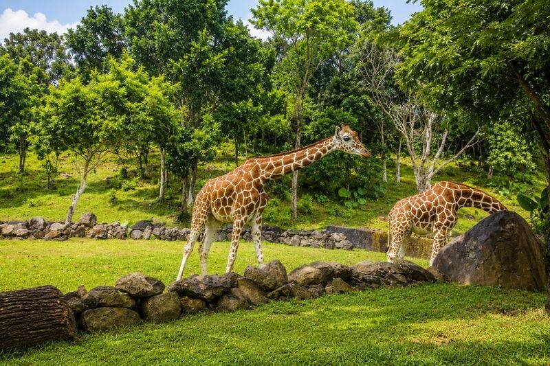 Liburan Gak Cuma Main! 6 Wisata Edukasi Long Weekend Jatim Ini Seru Bareng Keluarga 6 Wisata long weekend Jatim.