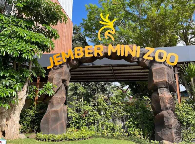 11 Wisata Long Weekend Jatim 2026 yang Wajib Masuk Bucket List, No 7 Viral TikTok 10 Wisata long weekend di Jatim terbaik.