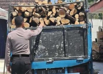 Pembalakan hutan.