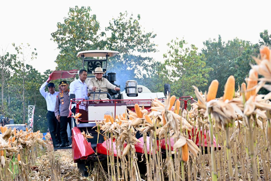 Cadangan Beras RI Tembus 5,3 Juta Ton, Prabowo Kebut Swasembada Jagung 1 Prabowo