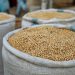 Di Tengah Kenaikan Padi dan Jagung, Produksi Kedelai Nasional Justru Masih Rendah 10 Kedelai Nasional
