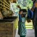 Wisata anak Malang gratis.