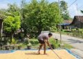 Harga gabah