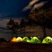 Camping Ground Jawa Timur.
