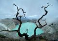 Wisata Murah Viral