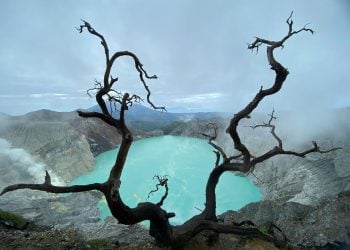 Wisata Murah Viral