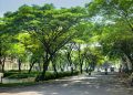 Jatim