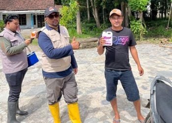 PMK di Jember.