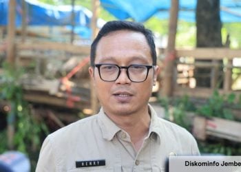 Jember.