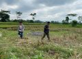 Balon udara di Blitar.