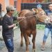 Rektor Unikama Serahkan 3 Sapi dan 6 Kambing Mewarnai Iduladha 2026, Ratusan Jemaah Khidmat Salat Id 15 Rektor Unikama.