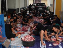 Pegadaian Kanwil XII Surabaya Salurkan 11 Sapi dan 78 Kambing Kurban untuk Warga 2 Pegadaian Kanwil XII Surabaya