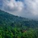 Langit Berawan Dominan, Benarkah Cuaca di Jatim Masih Rentan Hujan Pancaroba? 8 Cuaca di Jatim.
