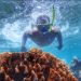 Di Balik Tenangnya Laut Bali Barat, Pulau Menjangan Simpan Pesona Bikin Wisatawan Terpukau 9 Pulau Menjangan.