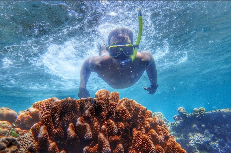 Di Balik Tenangnya Laut Bali Barat, Pulau Menjangan Simpan Pesona Bikin Wisatawan Terpukau 1 Pulau Menjangan.