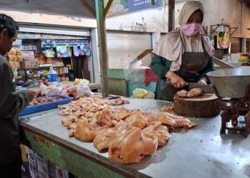Harga ayam potong.