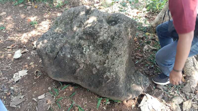 Temuan Batu Batolit Diduga Watu Dakon di Singosari Malang, Potensi Ungkap Sejarah Geologi dan Budaya 2 Batu batolit di Singosari.