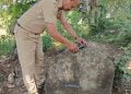 Temuan Batu Batolit Diduga Watu Dakon di Singosari Malang, Potensi Ungkap Sejarah Geologi dan Budaya 2 Batu batolit.