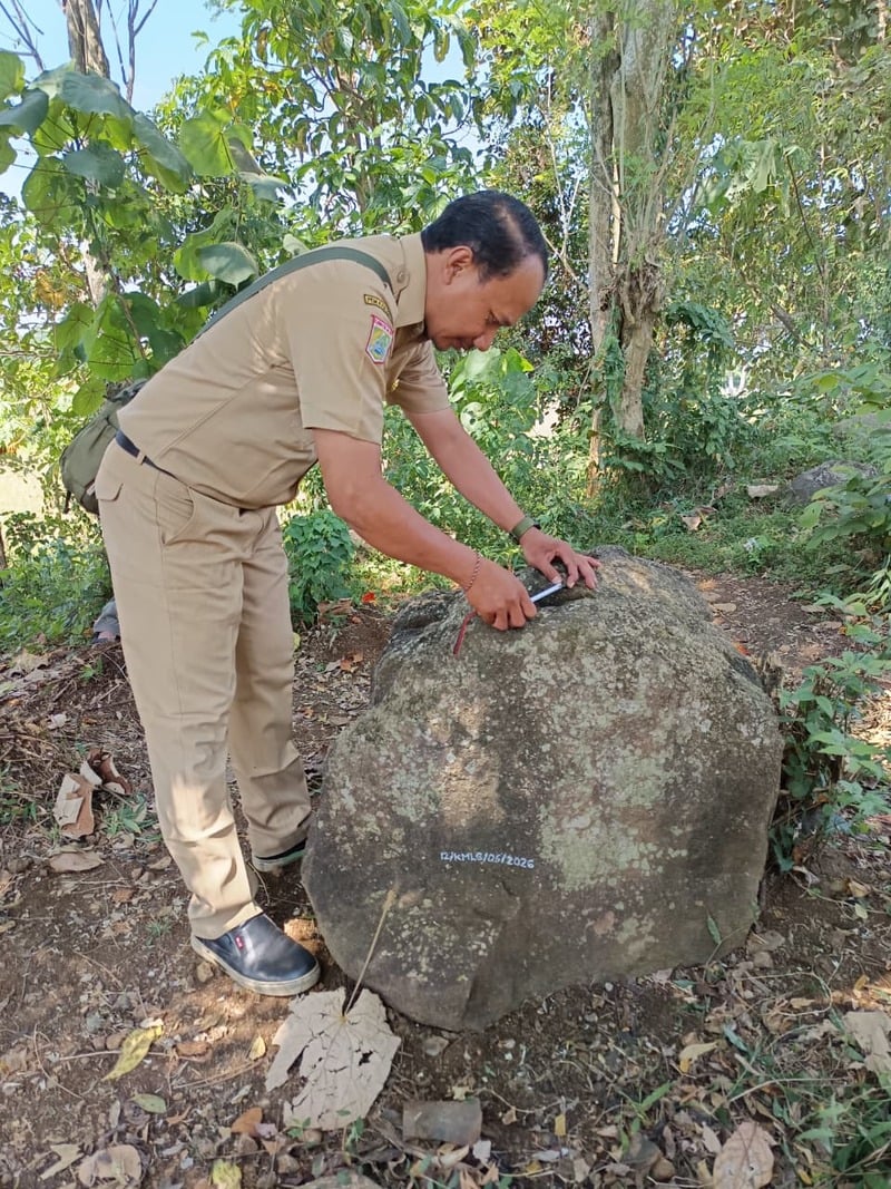 Temuan Batu Batolit Diduga Watu Dakon di Singosari Malang, Potensi Ungkap Sejarah Geologi dan Budaya 1 Batu batolit.