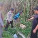 Geger! Penemuan Mayat Bayi dalam Kardus di Kebun Tebu Gondanglegi Malang 8 Mayat bayi.