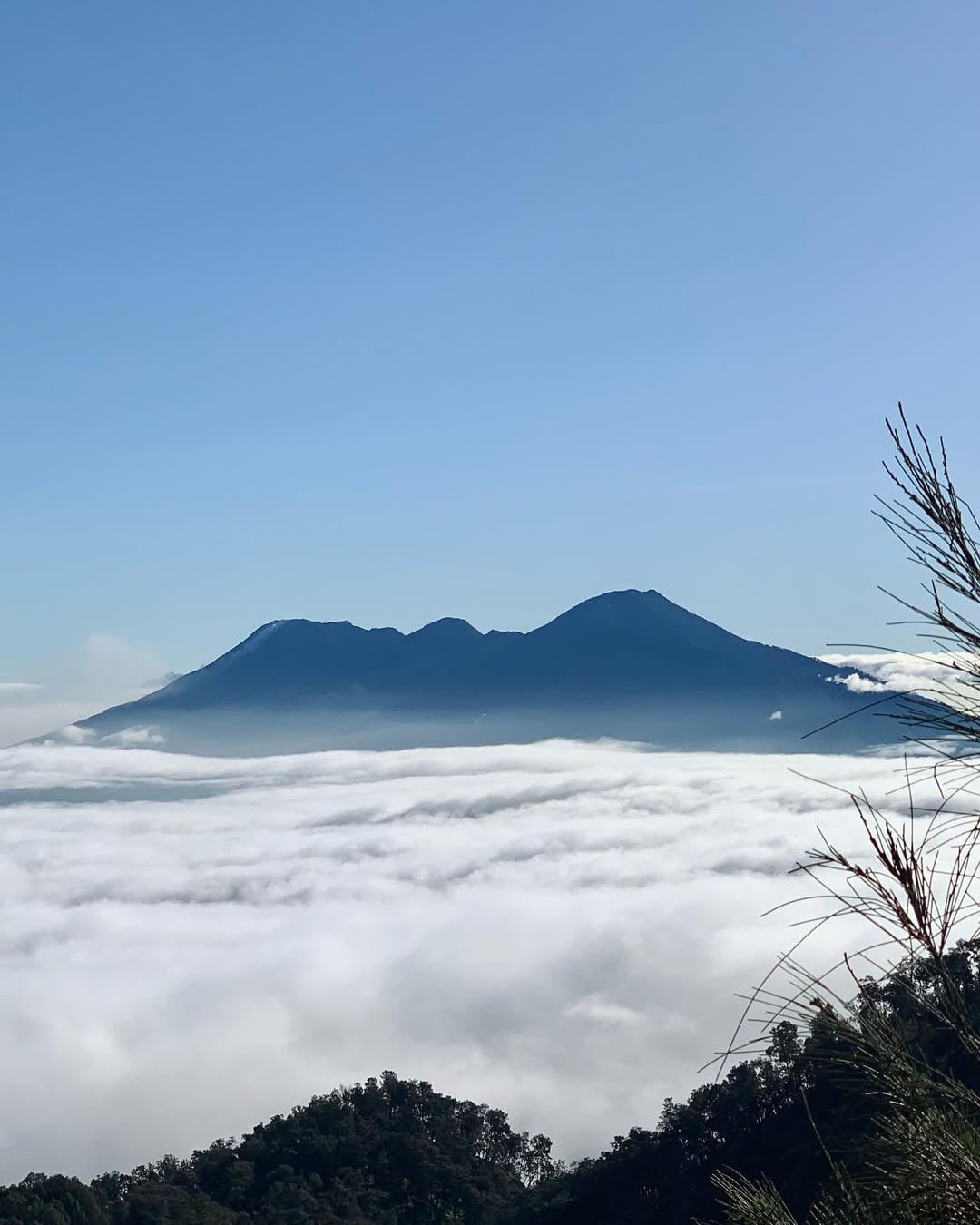 Gunung Jawa Timur Pemula Wajib Daki: View Oke, Track Nggak Nyiksa 4 Gunung Jawa Timur pendaki pemula.