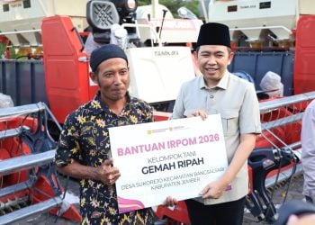 Dukungan Pertanian Jember Tembus Rp312 Miliar, Jadi Modal Perkuat Ketahanan Pangan 4 Jember