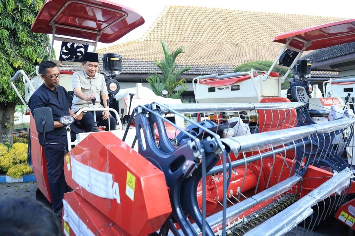 Jember