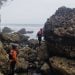 Terkendala Gelombang Tinggi, Pencarian Hari Kedua Santri Terseret Ombak di Blitar Nihil 13 Santri