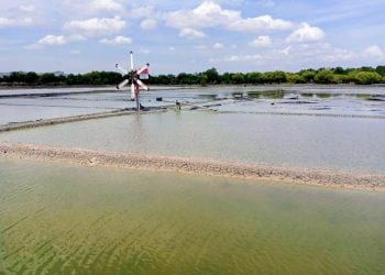Kabut, Hujan Ringan, dan Dominasi Cerah Warnai Cuaca di Jawa Timur Senin 15 Juni 2026. 4 Cuaca di Jawa Timur