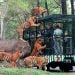 Harga Tiket Taman Safari Prigen Terbaru 2026, Cocok buat Libur Sekolah 8 Taman Safari Prigen