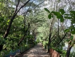 Taman Kota