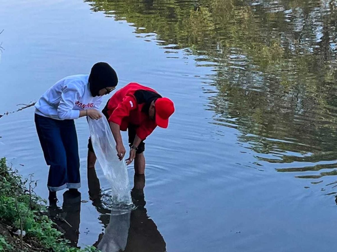 Bulan Bung Karno 2026, PDIP Kota Malang Tebar Ribuan Benih Ikan Wader hingga Bazar UMKM 1 PDIP Kota Malang.