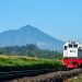 Jam Keberangkatan Kereta Surabaya-Malang Terbaik agar Terhindar dari Kepadatan Penumpang 8 Jam keberangkatan kereta Surabaya-Malang terbaik.