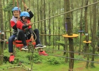 7 Destinasi Wisata Jombang Viral yang Ramai Dikunjungi Tahun 2026 4 Wisata Jombang viral.