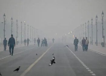 Kabut Pekat Selimuti Jawa Timur 19 Juni 2026, Visibilitas Terancam di Sejumlah Wilayah 9 Jawa Timur