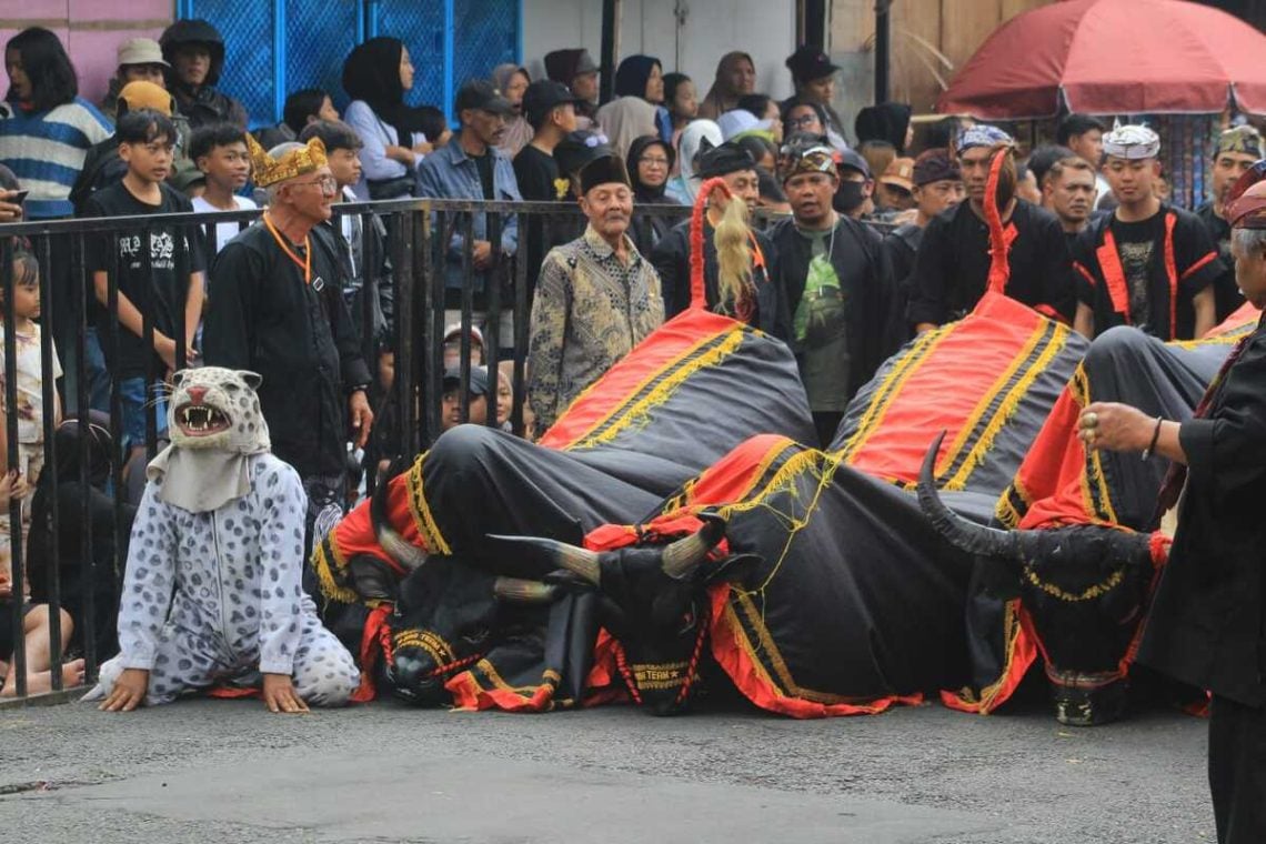 Rasakan Atmosfer Magis Songgoriti, Tradisi Ngarak Banteng 1 Suro Empu Supo Siap Getarkan Kota Batu 1 Ngarak Banteng 1 Suro.