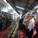 KA Pandalungan 2 Resmi Layani Rute Jember-Jakarta, Okupansi Tembus 160 Persen 8 KA Pandalungan 2.