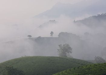 Jawa Timur