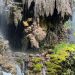 Wisata Lumajang