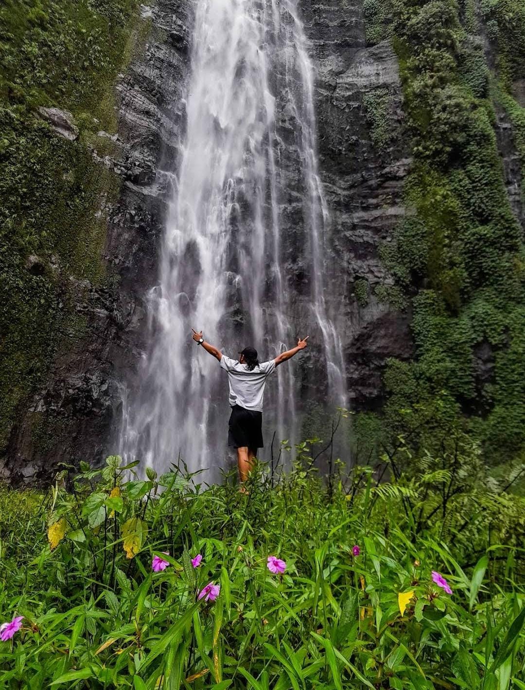 Destinasi wisata Jember.
