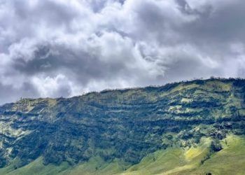Bukit Teletubbies Bromo